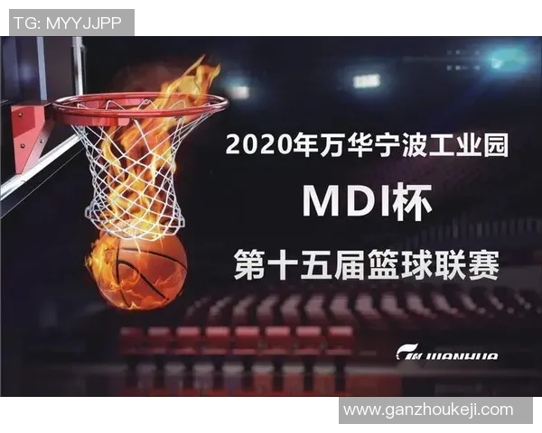 南京篮球队实力揭秘：从历史到未来的全景分析与展望