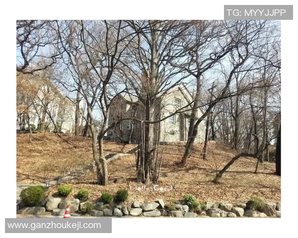 足球明星罗彬的传奇人生与辉煌成就全景介绍