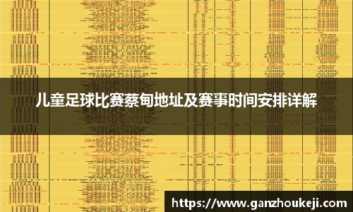 儿童足球比赛蔡甸地址及赛事时间安排详解