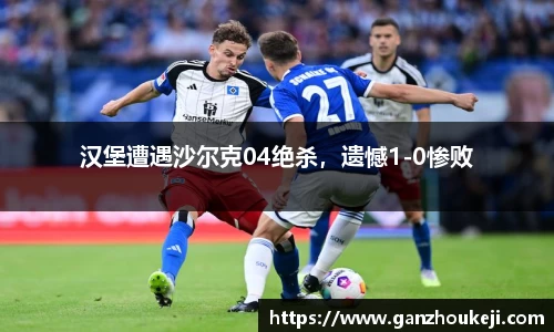 汉堡遭遇沙尔克04绝杀，遗憾1-0惨败